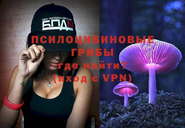 амф Абаза