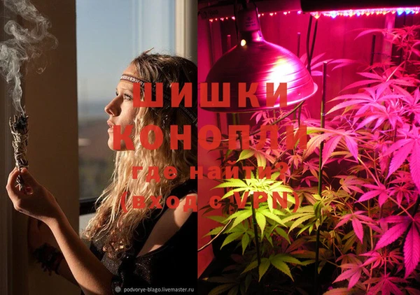 apvp Ростов
