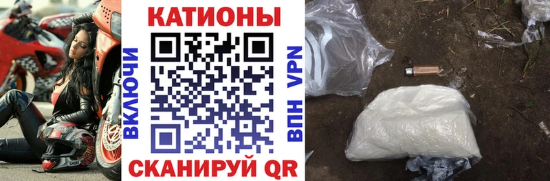 мориарти официальный сайт  Боровичи  МЯУ-МЯУ мяу мяу 