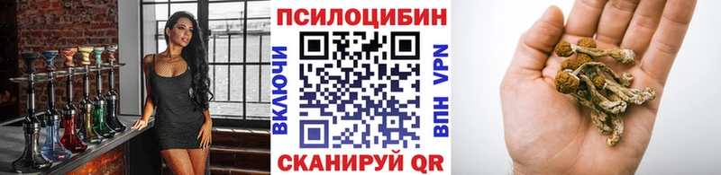 закладки  Боровичи  Псилоцибиновые грибы Magic Shrooms 